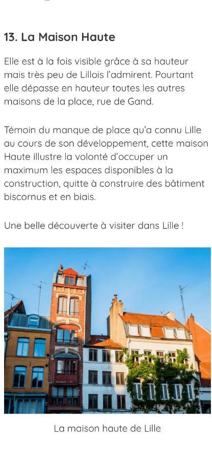 La Petite Place De La Porte De Gand Lille Exteriér fotografie